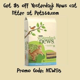 Black Friday Pet 360 Yesterday's News Coupon