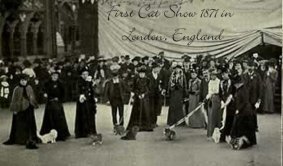 Victorian era cats - 1st Cat Show 